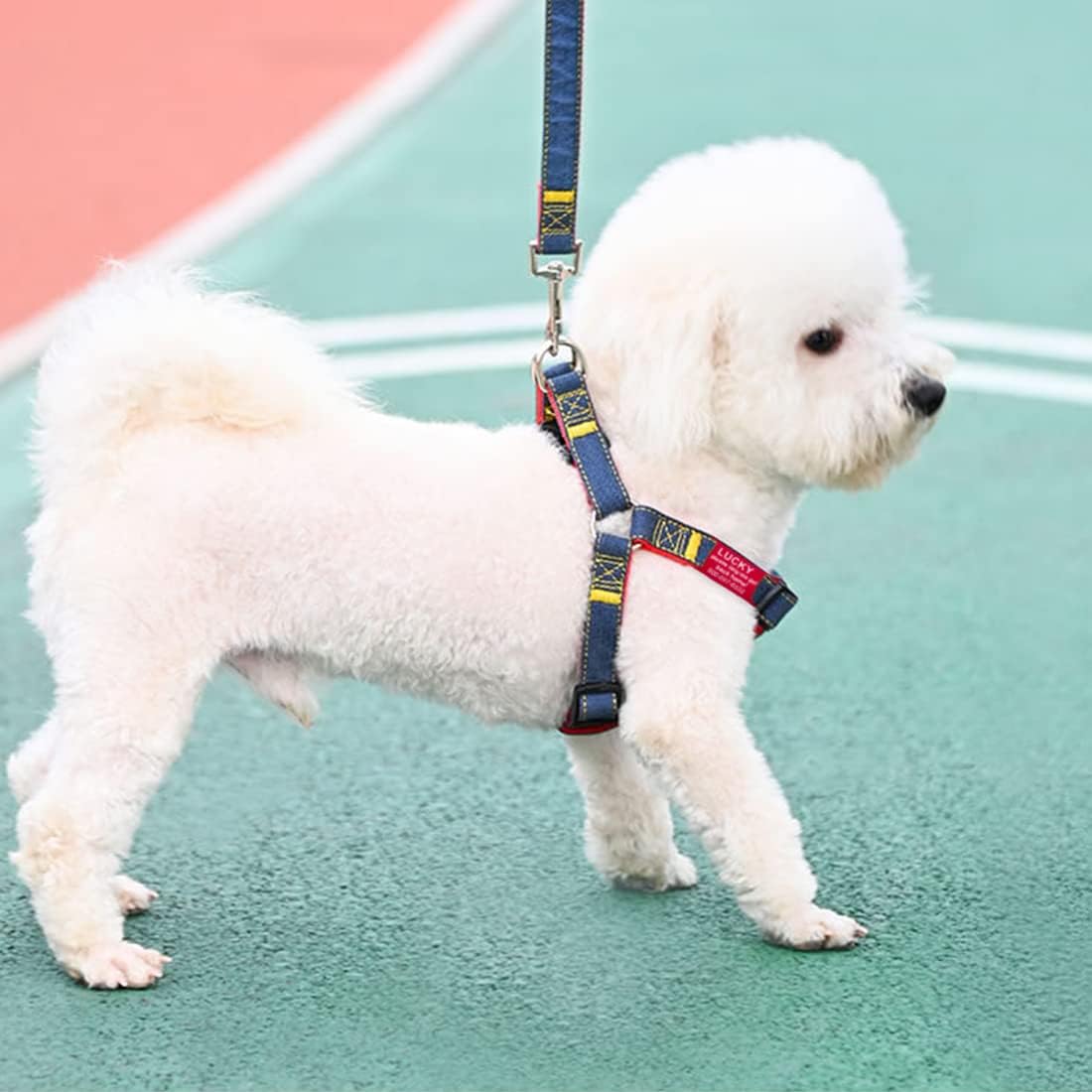 Metal Pet ID Tags with Holes